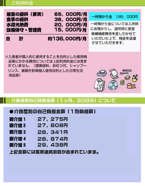 ��艑�̂����p�����A���ی����ȕ��S���i30���j�̗��p����